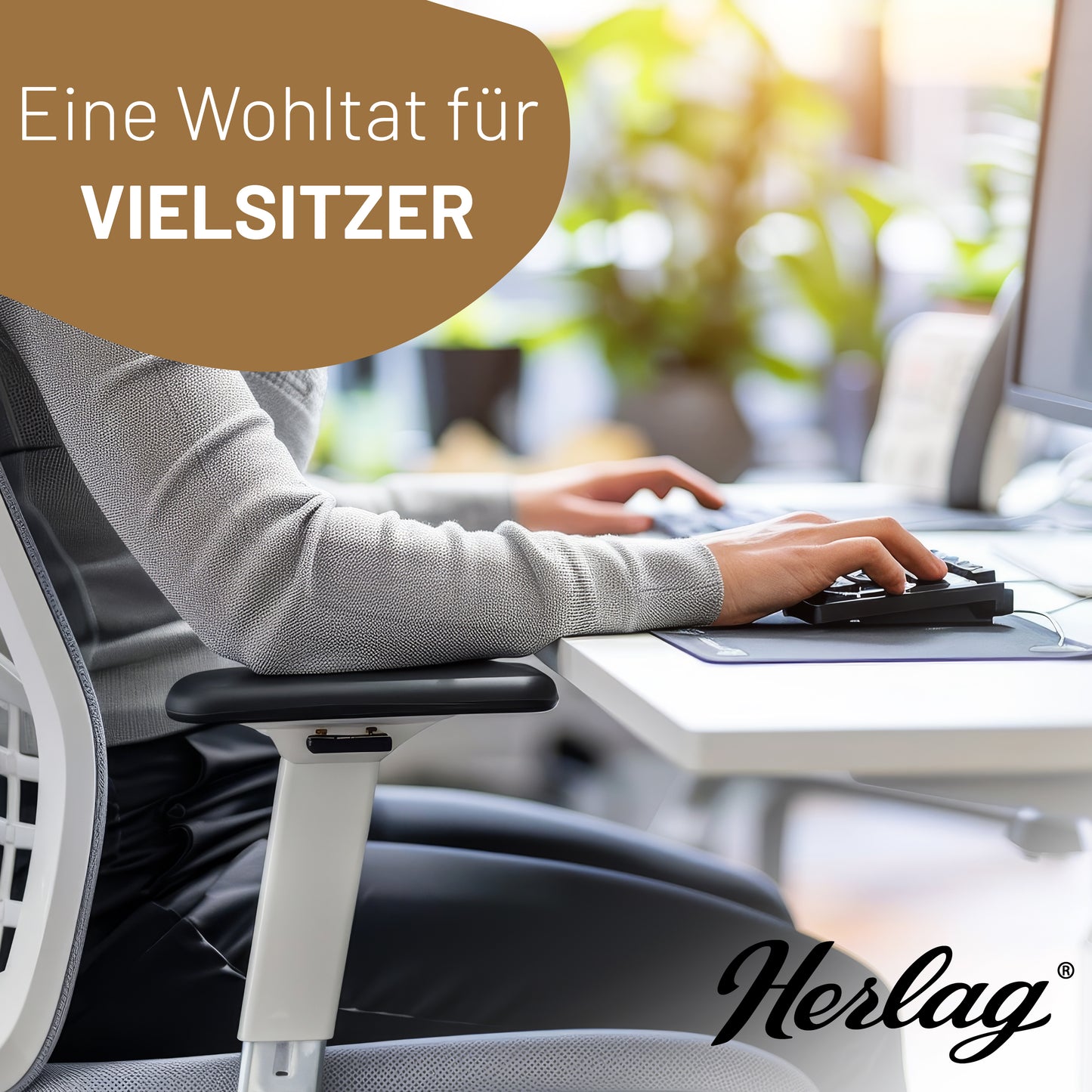 Keilkissen STELLA