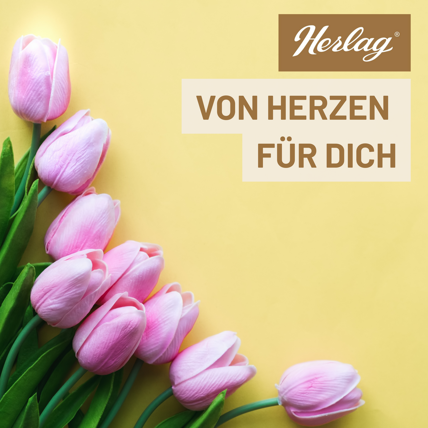 Herlag Gutscheinkarte 25€