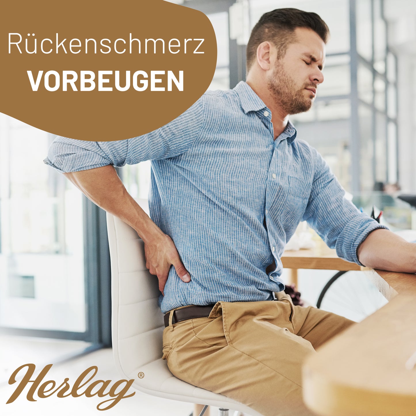 Keilkissen STELLA