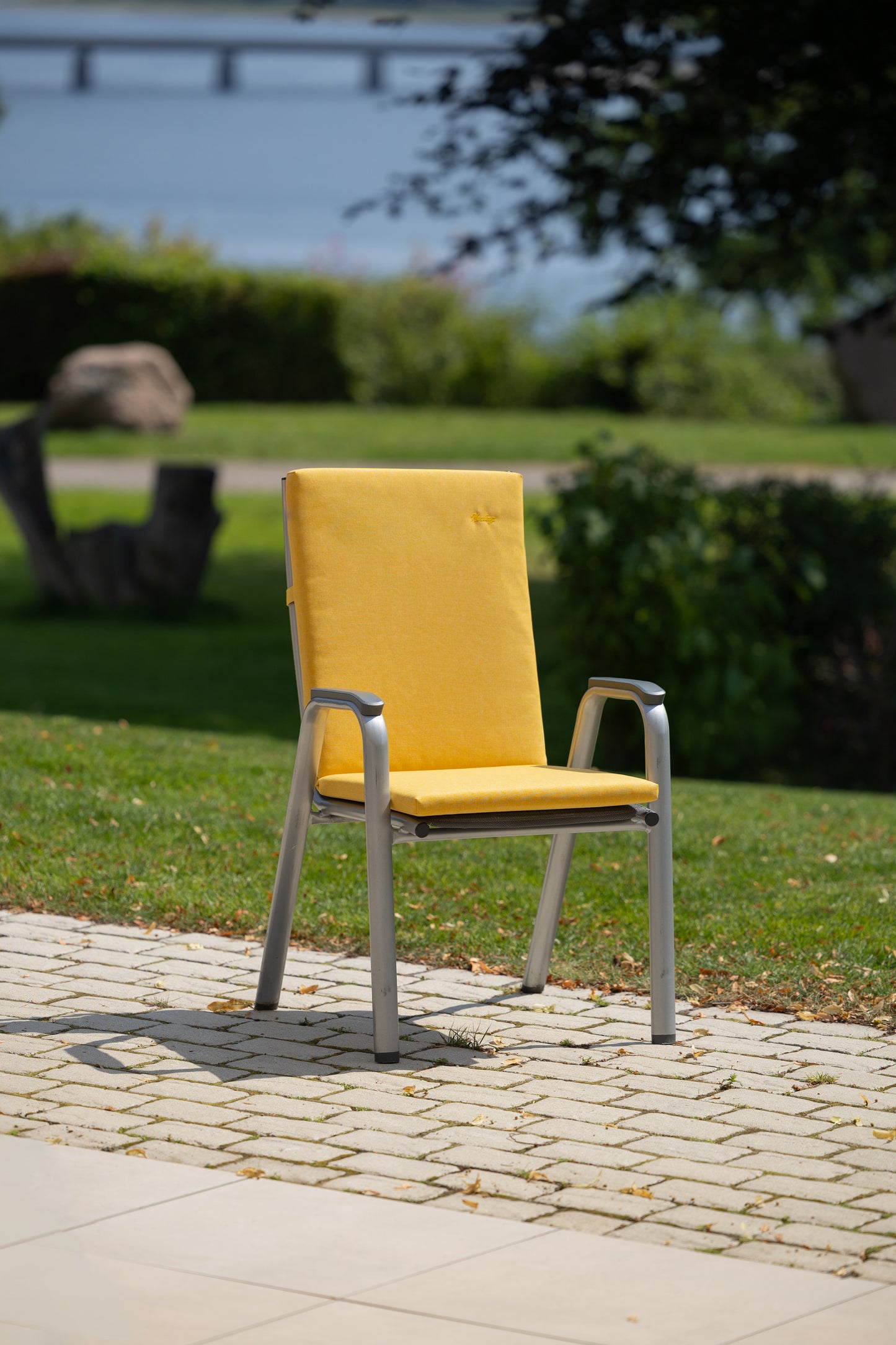 Niedriglehner SUNNY - Senfgelb